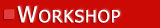 Workshops